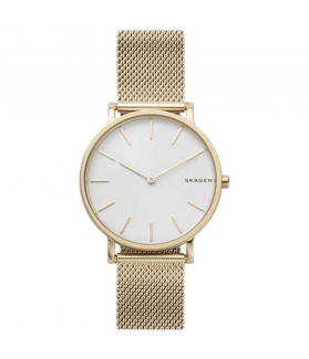 Skagen skw6443 discount